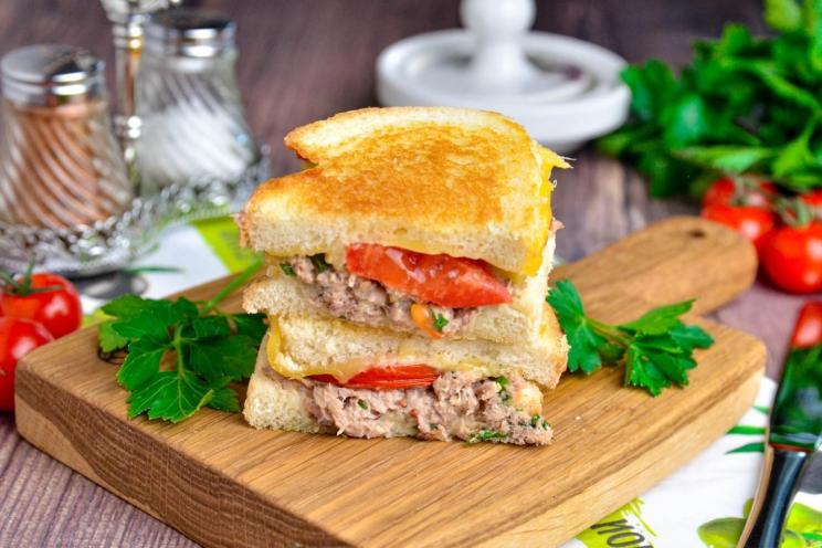 Tasty Tuna Cheese Sandwiches