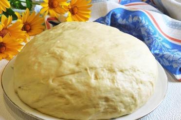 Easy Milk Pie Dough for Any Filling