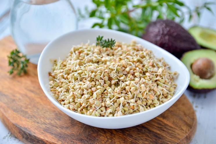 Quickly Sprout Nutrient-Rich Green Buckwheat at Home