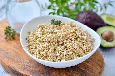 Quickly Sprout Nutrient-Rich Green Buckwheat at Home